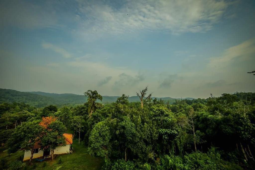 Māranhalli Aadhavana Homestay - Sakleshpur المظهر الخارجي الصورة