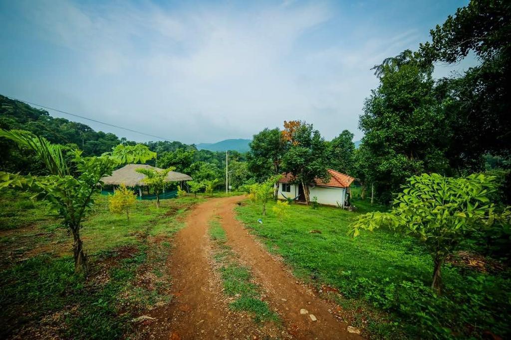 Māranhalli Aadhavana Homestay - Sakleshpur المظهر الخارجي الصورة